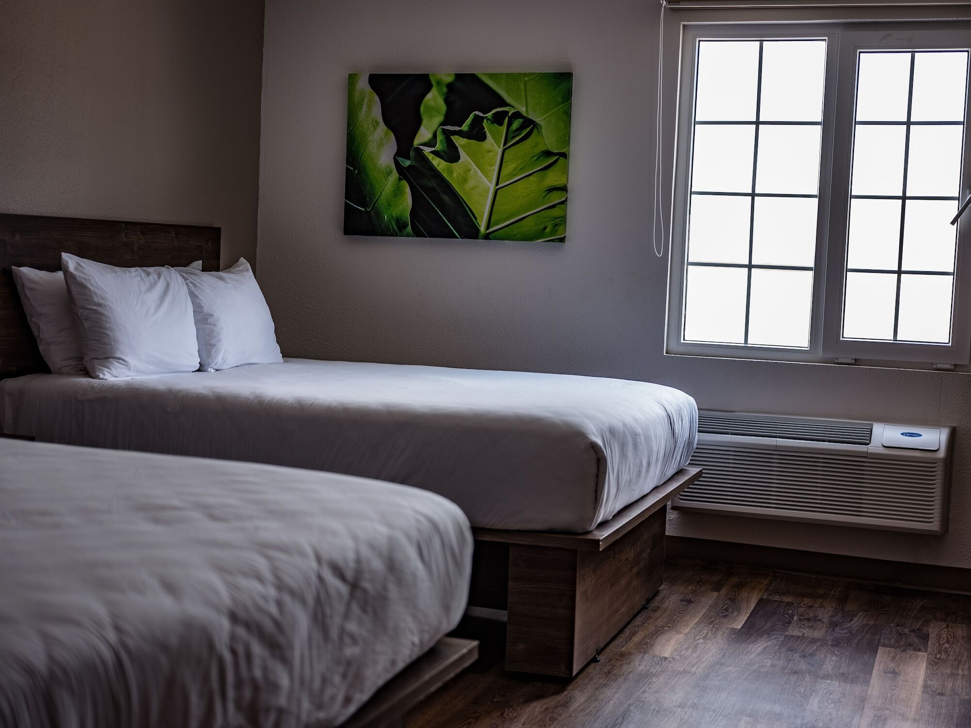 Extended Suites Saltillo Galerias 외부 사진